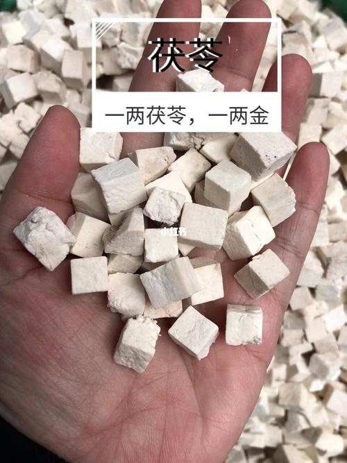 白苓的功效与作用茯苓怎么食用