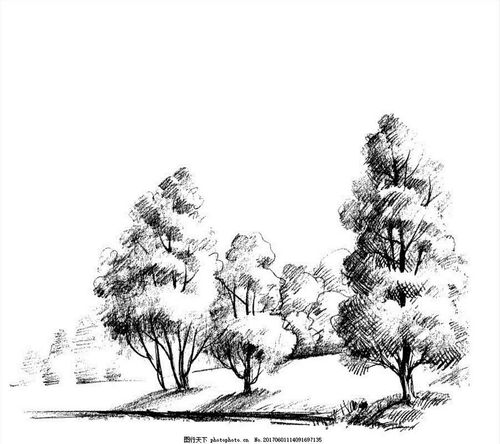 风景速写主要物象的画法及构图