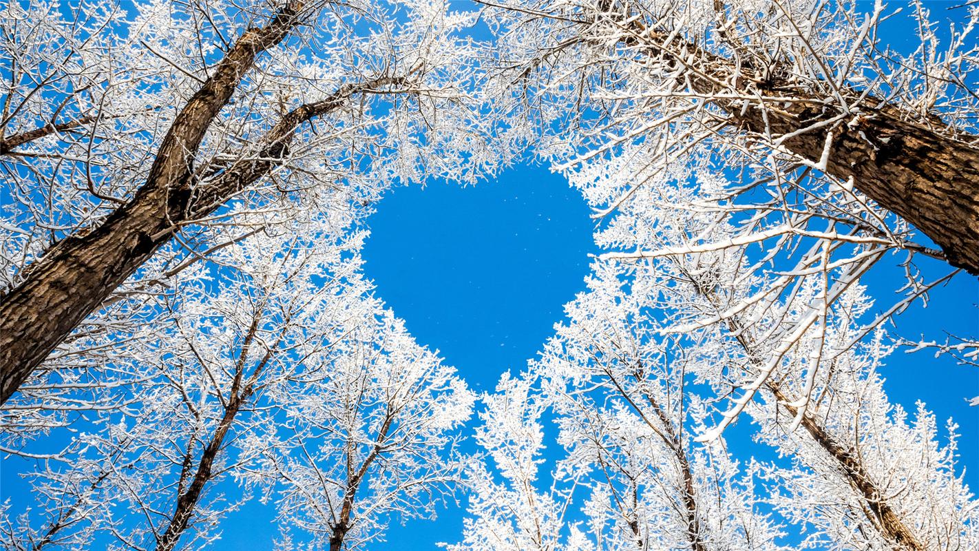 冬天雪中美景唯美意境高清图片合集电脑桌面壁纸下载第二辑