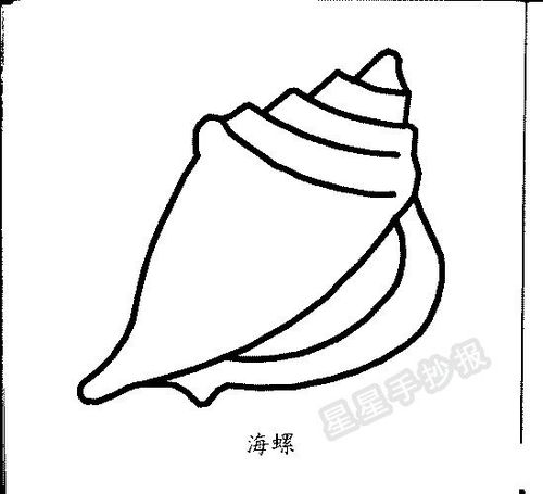 多选用颜色清白或有花条纹的海螺为佳,磨穿螺尖作吹嘴,并将吹嘴