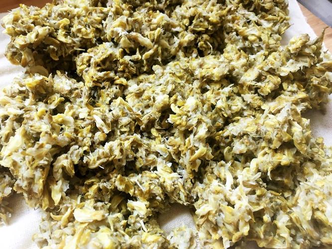 洋槐花疙瘩菜～开吃