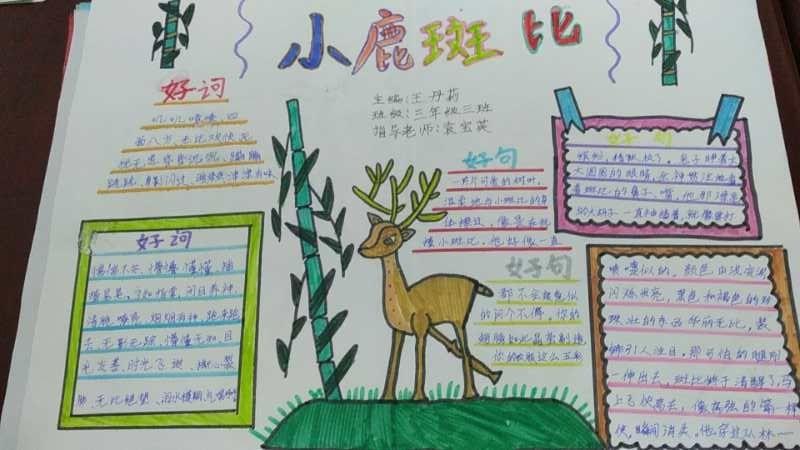 兴学街小学三年级三班(小鹿斑比)手抄报指导老师:袁宝