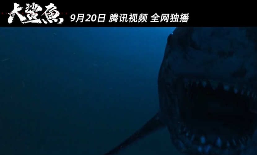 电影大鲨鱼在线完整观看免费加长版超高清1080p2021恐怖电影