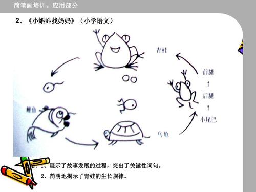 长岭小学教师简笔画培训