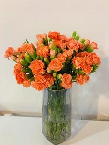 云南昆明鲜花康乃馨 橙色多头康 花期长家用鲜花 江浙沪2扎包邮