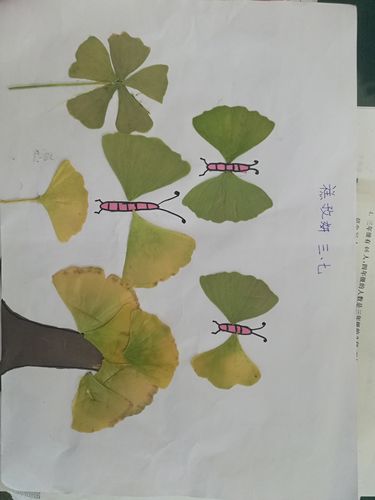 【益都师范附小】三年级七班银杏叶粘贴画优秀作品展示