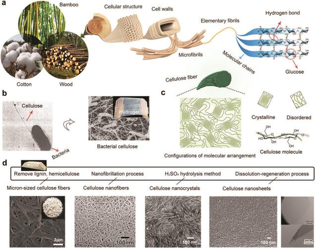 《am》综述:纤维素基柔性功能材料在智能电子中应用进展