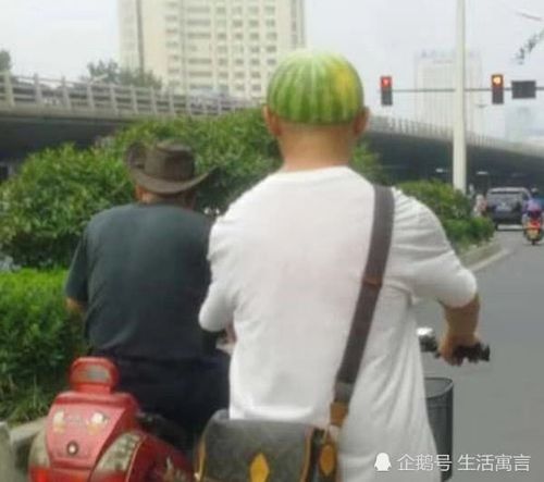 搞笑,头盔