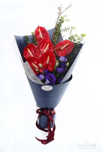 送朋友,送同事等情形,应该各送什么花