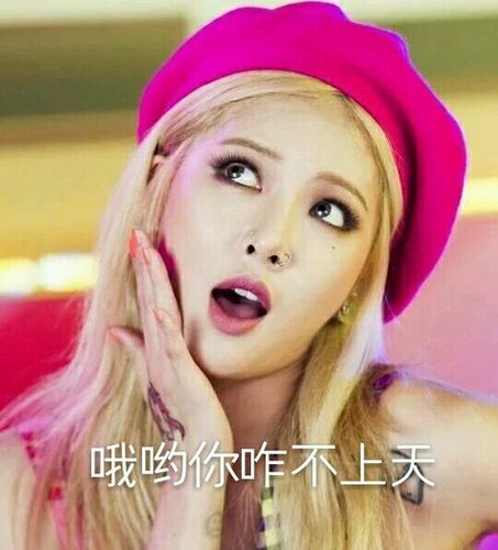 金泫雅 - 365表情包