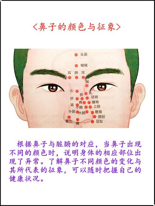 中医面部望诊(鼻子部位)解读连载六