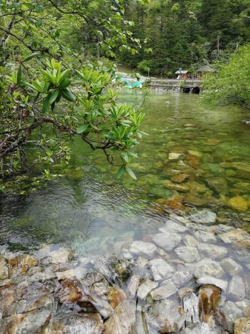 翠绿的溪水清澈见底!