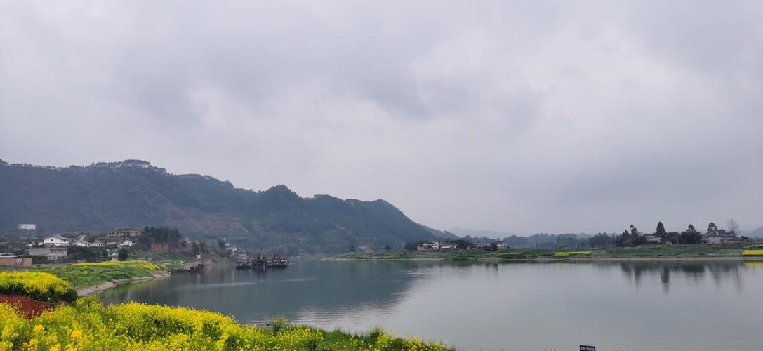 乐山周边荔枝湾好风光,油菜花开了更美了!