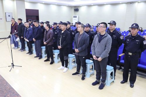 舒城县法院公开审理朱浩等人涉恶势力犯罪案件