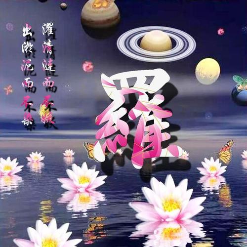 出淤泥而不染,濯清涟而不妖,荷花姓氏头像