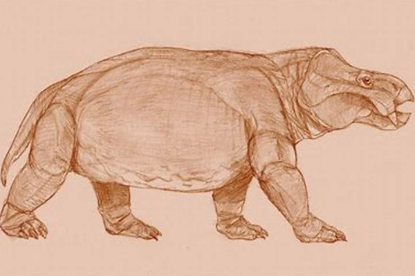 探秘志 考古发现 > 正文 肯氏兽和可汗龙一样,都拥有着非常强有力的