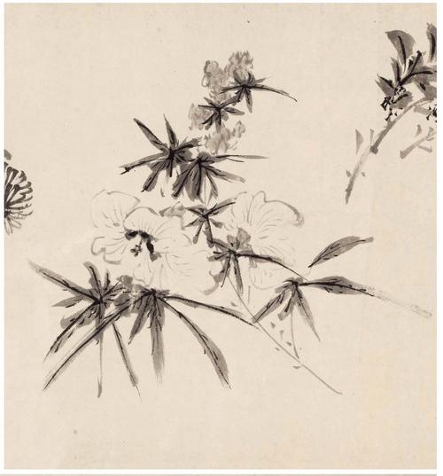 转载白阳陈淳书法