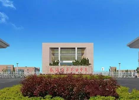 威海职业学院#校友们,目前都在做什么工作呢?