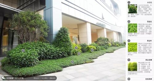 100款植物配置案例集锦,干货十足,值得收藏