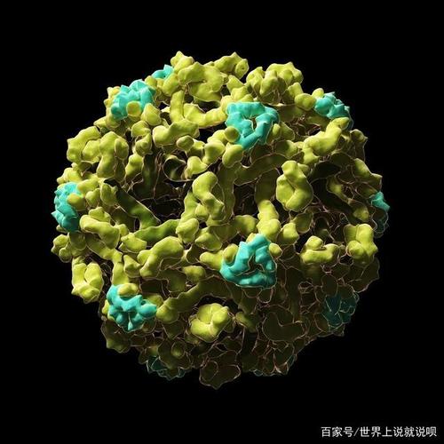 精神分析,依恋理论和神经科学中的情绪发展:创建联结