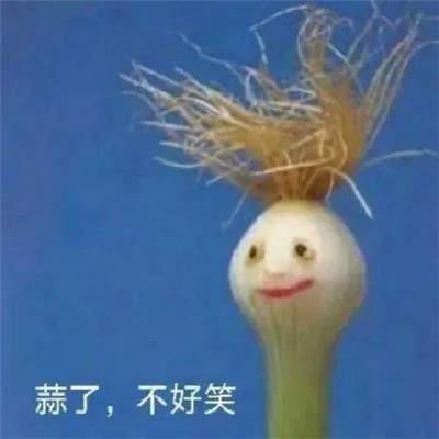 蒜了表情包合集