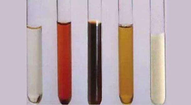 血友病等疾病;   红茶色,酱油色,葡萄酒色提示血红蛋白尿,可见于蚕豆