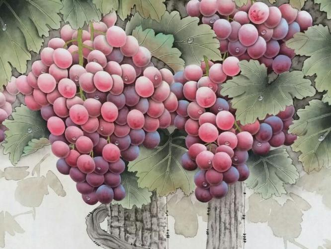 工笔画,葡萄