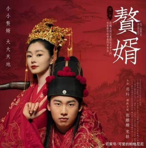 电视剧《赘婿》海报