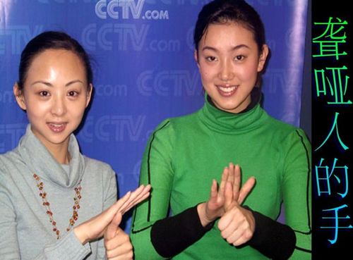 科常:会说话的手