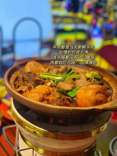 南阳探店94沙胆彪炭炉牛杂煲91_牛杂煲_朋友圈_炸