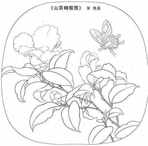 【中国画】山茶花白描画法