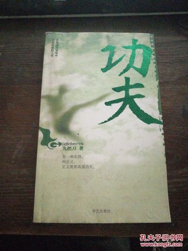 功夫(九把刀)_简介_价格_文学书籍_孔网
