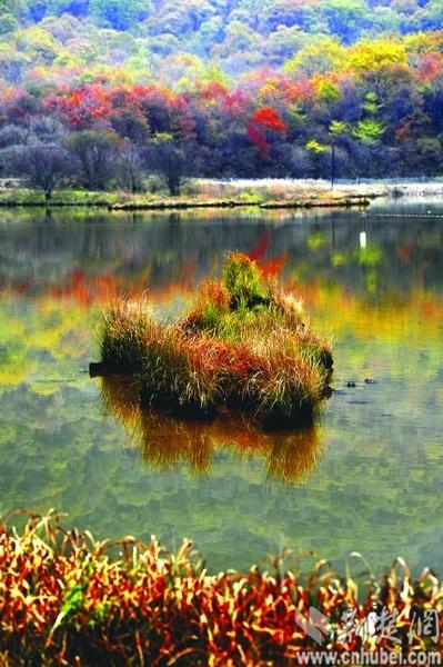 大九湖秋色 在大九湖我只需要记住一棵树和它的倒影因影 我记住了湖因