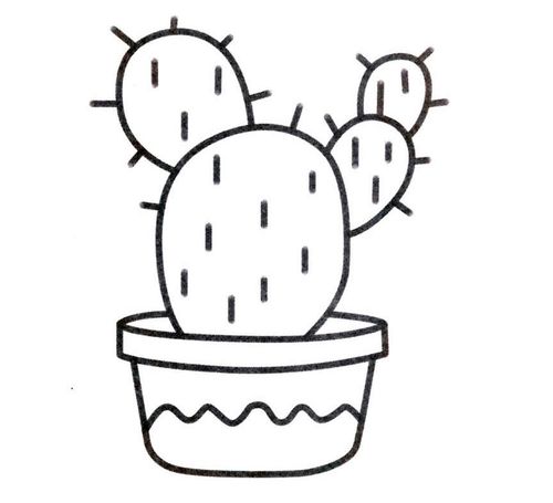 植物的简笔画图片大全