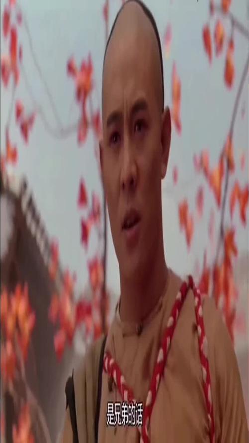 方世玉2之万夫莫敌生我养我的是我老妈,今天老妈我是救定了李连杰