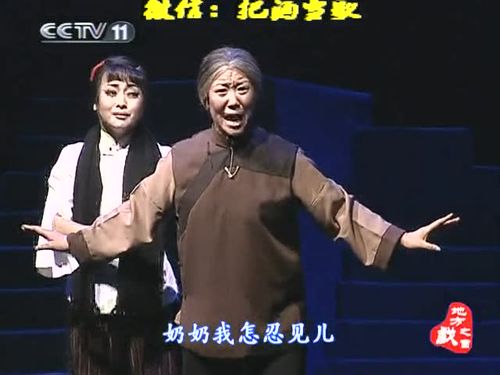 崔玉萍《铡刀下的红梅》紧紧将儿怀中抱