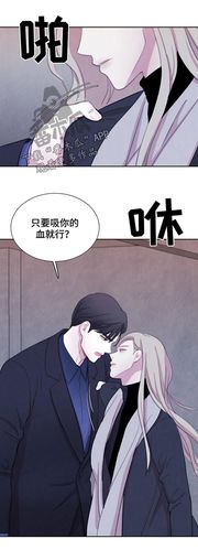 与血族共生漫画_第89章:【第二季】咒术-非麻瓜漫画