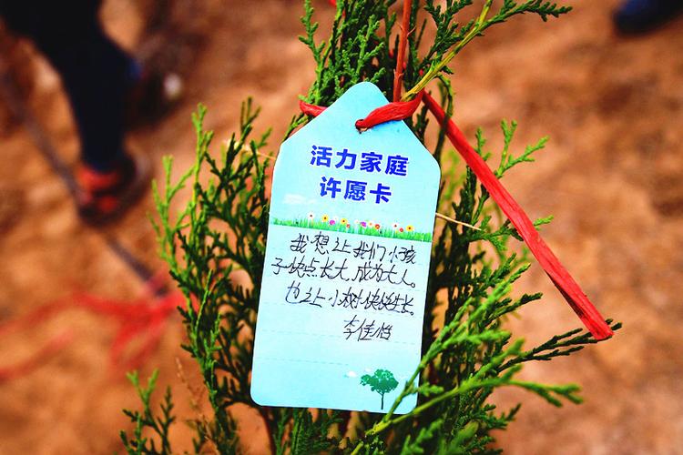 绿色环保要从娃娃抓起         植树家庭写下许愿卡陪伴小树成长