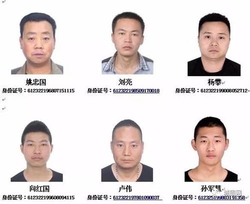 城固打掉一恶势力犯罪集团 检举揭发违法犯罪线索征集