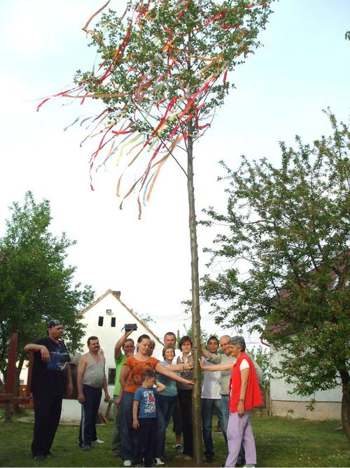 day-maypole statement ---5月1 - 五朔节花柱声明   may the trees