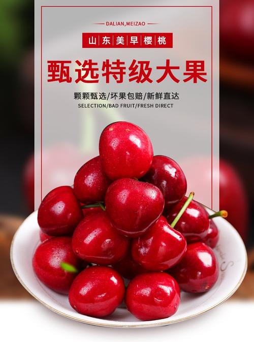 秦礼 山东烟台大樱桃美早 现摘新鲜水果车厘子中大果2