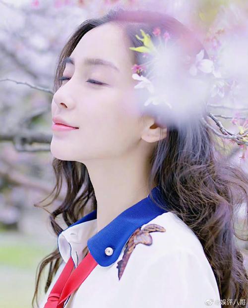 angelababy晒樱花自拍
