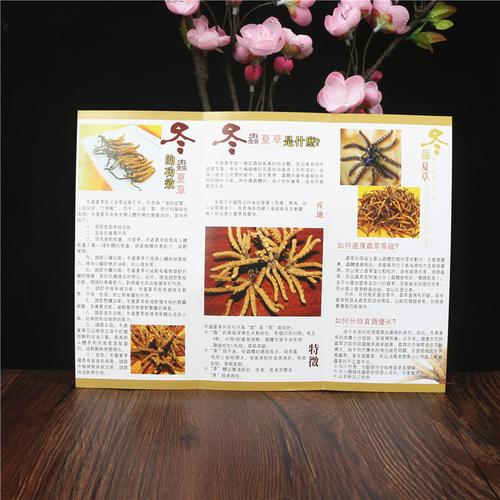 虫草说明书冬虫夏草说明小册子虫草功效做法冬虫夏草简介介绍
