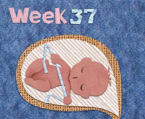 终於熬到足月,就等发动了