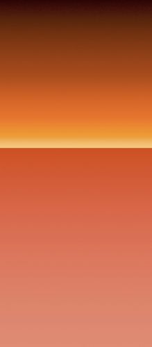 坚果pro3内置壁纸高清无水印下载 产品经理很喜欢鸟吧!