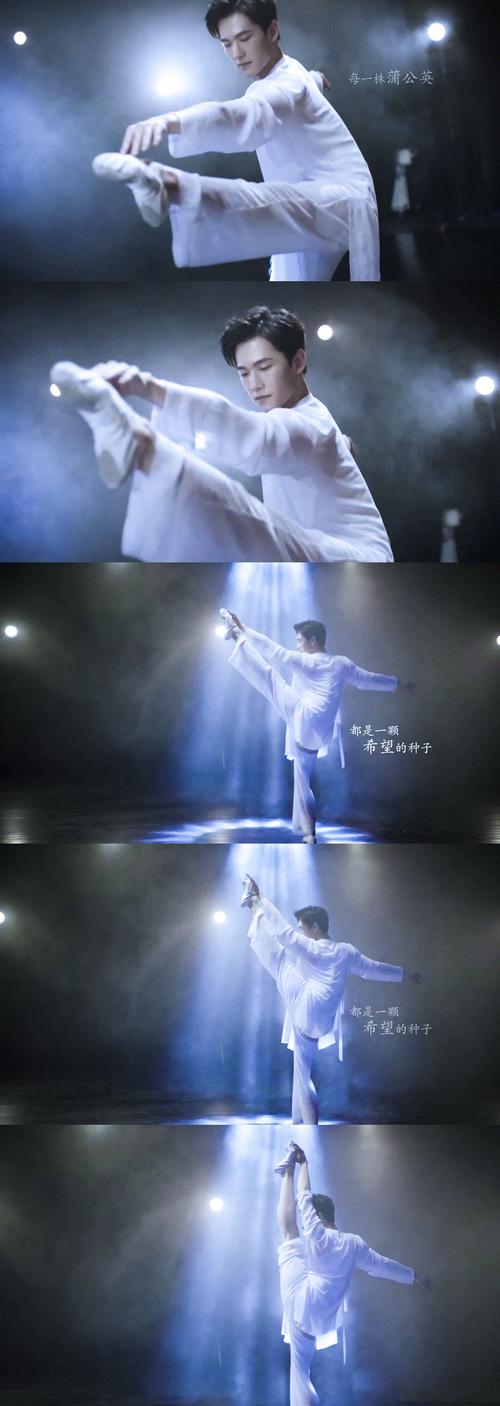 杨洋 拼图 蒲公英舞蹈 棒!