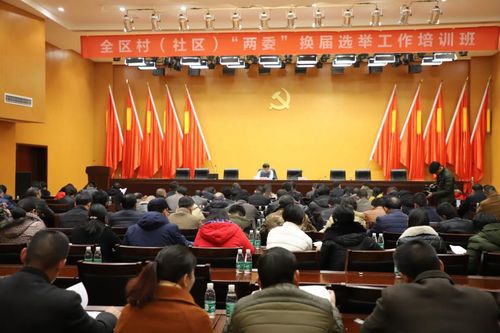 【村(社区)"两委"换届】我区村(社区)党组织换届选举工作进入收官阶段