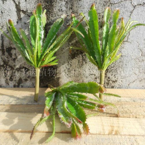 手感软胶塑料假植物 多肉扁仙人掌 桌面小盆栽饰品仿真绿植