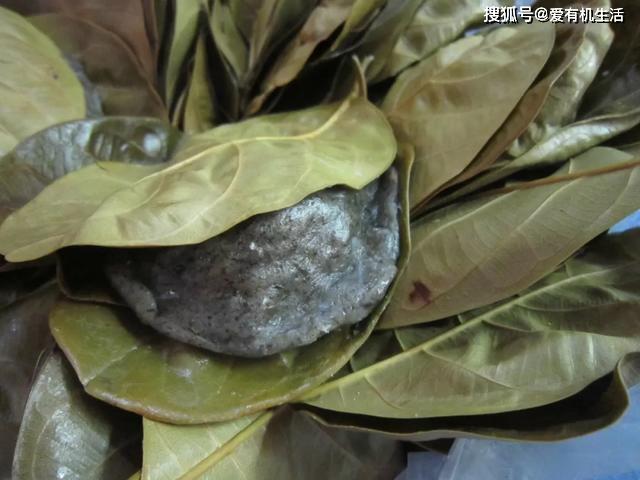 原创田艾籺,香糯软滑,爽脆浓香,甜中带咸,是湛江过年的特色美食!