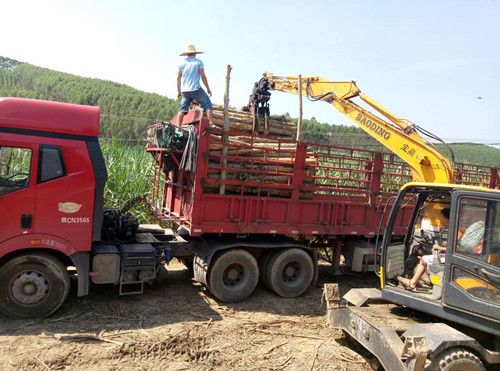 广东江门轮式抓木机用户木材装车